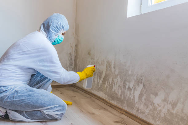Licensed Commercial Mold Remediation service in Clinton, MD - 24 Hour Mold Removal