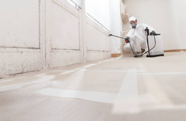 24/7 Emergency Commercial Mold Remediation experts in Clinton, MD