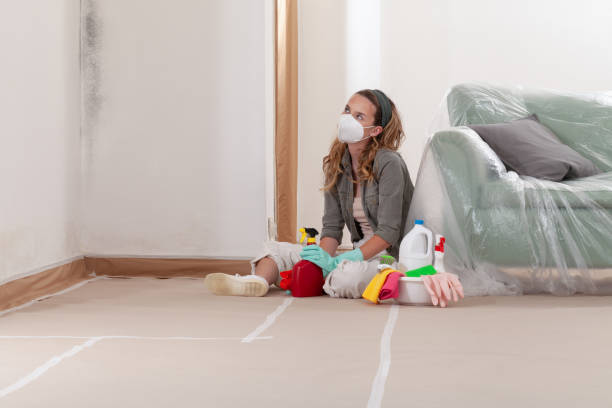 Reliable Commercial Mold Remediation contractor in Clinton, MD by 24 Hour Mold Removal