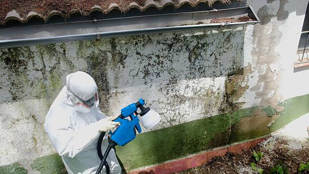 Top rated local Commercial Mold Remediation specialists in Clinton, MD